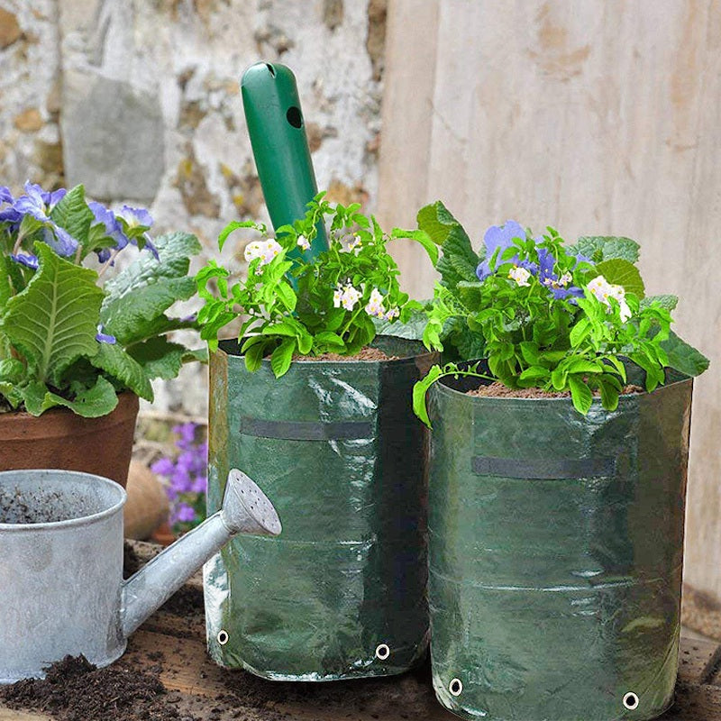 Potato Grow Bags - Easy Gardening Solution