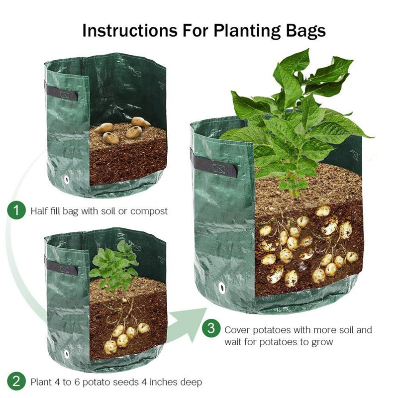 Potato Grow Bags - Easy Gardening Solution