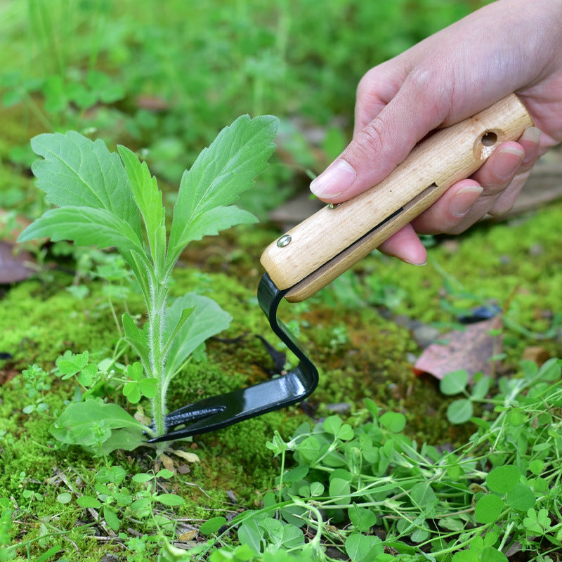 Weeding And Seedling Rooting Device - Home Shopping List