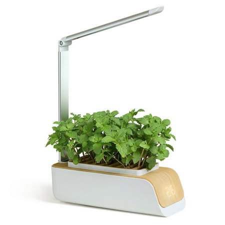 Hydroponic Flower Pot - Efficient Container for Plants